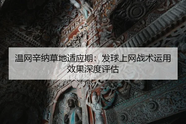 wen-wang-xin-na-cao-di-shi-ying-qi-fa-qiu-shang-wang-zhan-shu-yun-yong-xiao-guo-shen-du-ping-gu-2-976.jpg