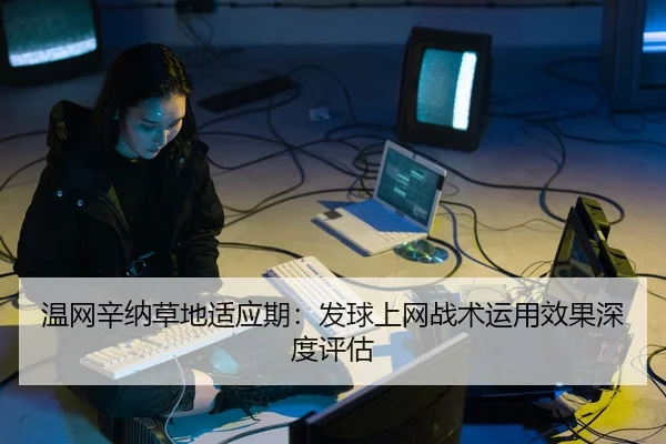 温网辛纳草地适应期：发球上网战术运用效果深度评估